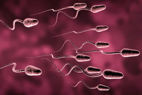 Кров у спермі – привід для занепокоєння? фото